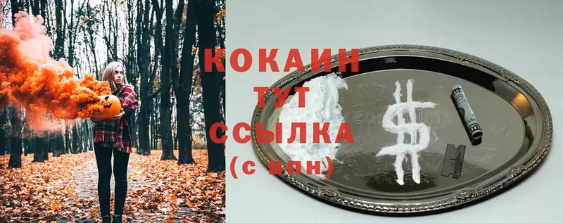 Cocaine Fish Scale  закладка  Электрогорск 